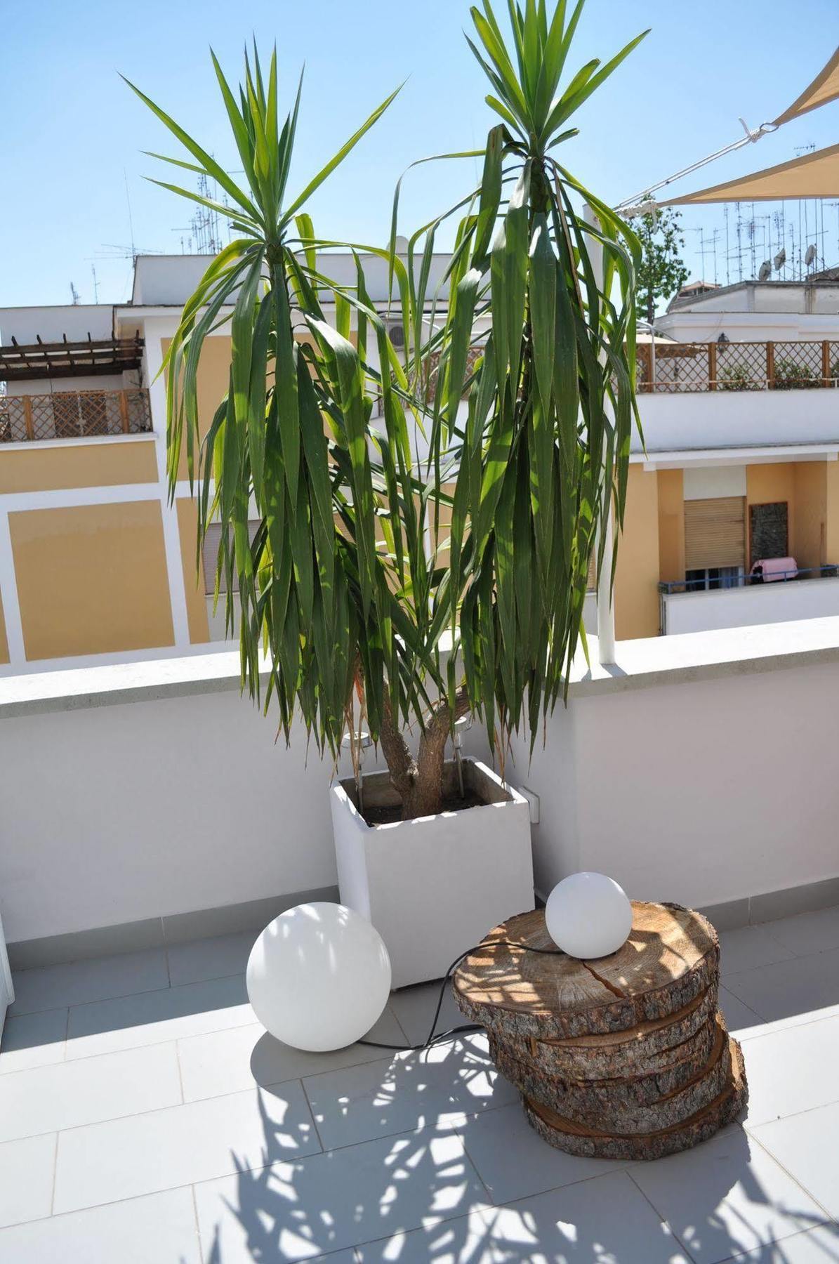 Casa de hóspedes Glamroom Luxury Terrace